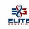 elitegeneticsaus